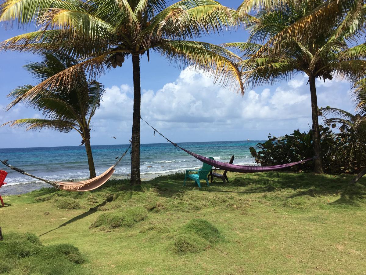La Princesa De La Isla Brig Bay Bagian luar foto